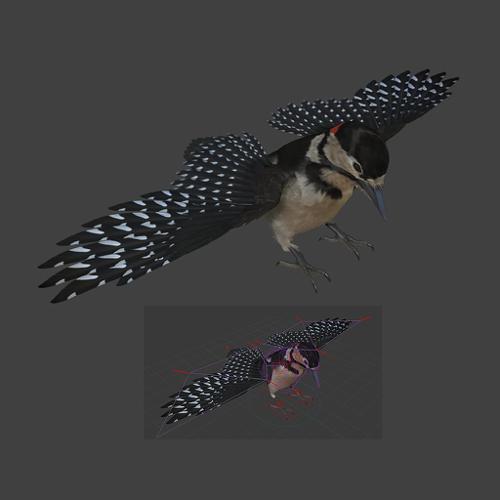 Woodpecker preview image